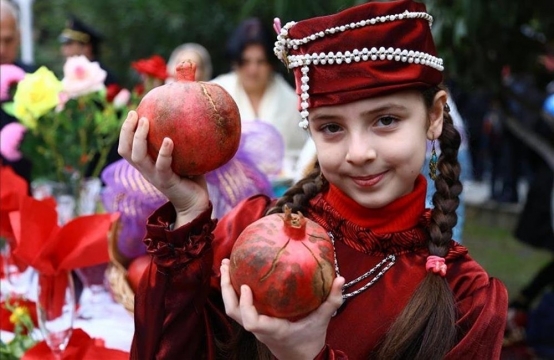 Göyçayda keçiriləcək Nar bayramının tarixi açıqlandı