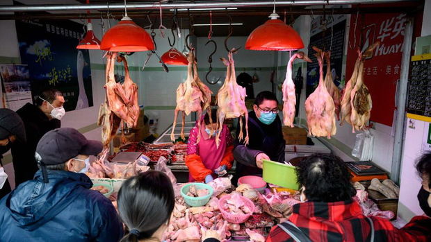 Çində koronavirusun yayıldığı iddia olunan heyvan bazarları yenidən açıldı