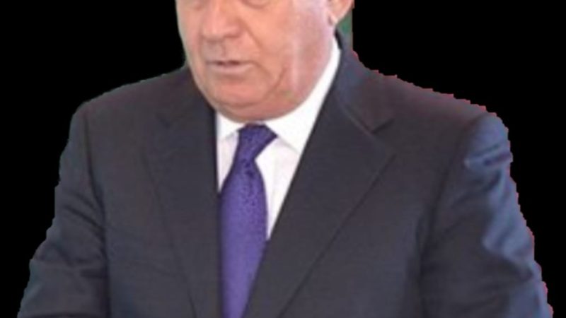 Alı Alıyev PA- ya saxta hesabat verir?-İDDİA