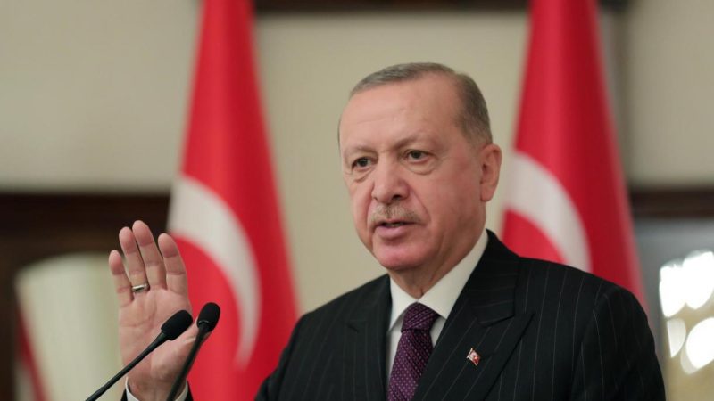 Rəcəb Tayyib Ərdoğan: Türkiyə yeni dünya düzənində layiqli yer tutmaqda qərarlıdır