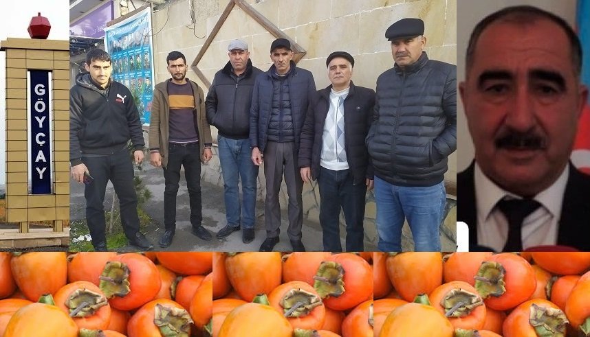 “İcra başçısının 1-ci müavini və onun qardaşı oğlunun dələduzluğuna görə aclığa məhkum olmuşuq” – Göyçay sakinləri əlacsız qalıb