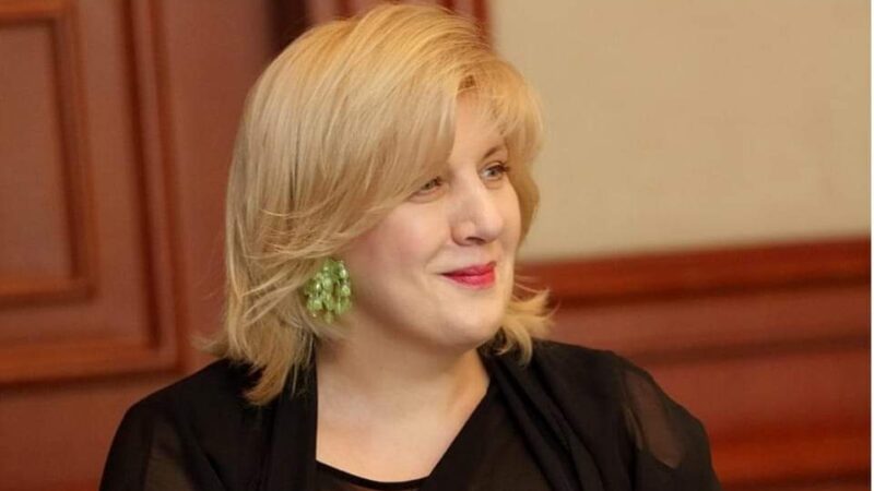 Dunya Miyatoviç İlham Əliyevi “Media haqqında qanun”u imzalamamağa ÇAĞIRDI