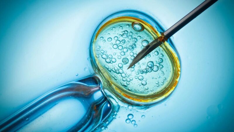 Embrionlar “uşaq” kimi qiymətləndirildi, araşdırmalar dayandırıldı: Doğum sayı azalacaq?