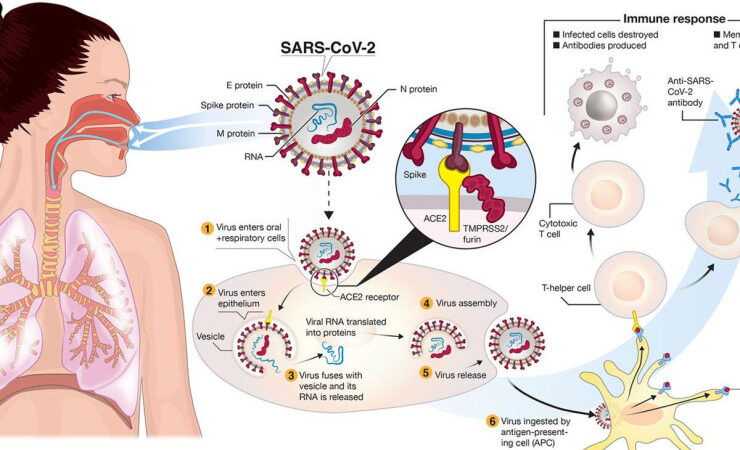 Alimlər koronavirus pandemiyasının başladığı yeri izləyiblər