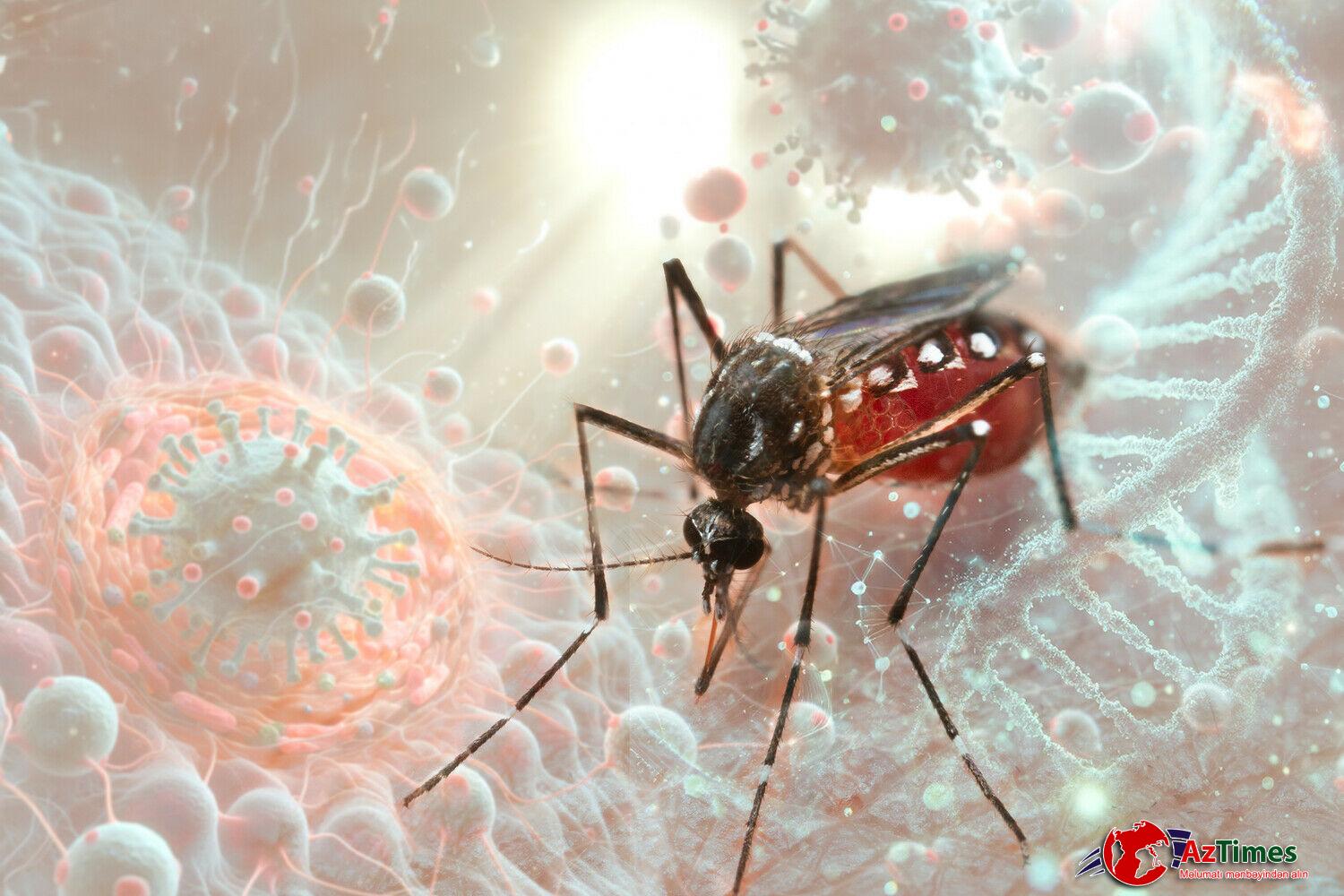 Ölümcül virus ilk dəfə Avropaya çatdı – Simptomları necədir?