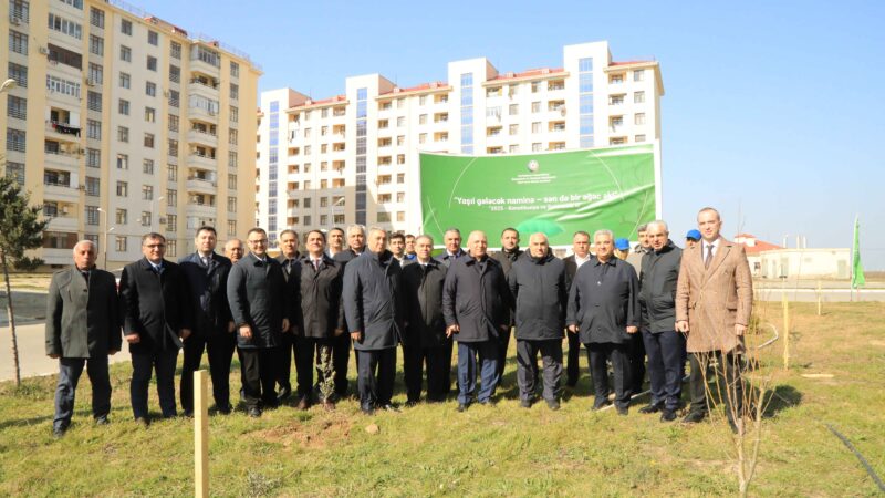 Dövlət Komitəsi “Konstitusiya və Suverenlik İli” çərçivəsində ağacəkmə aksiyası təşkil edib