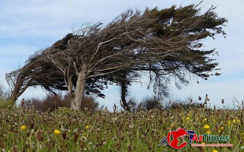 ETSN-dən küləkli hava şəraiti ilə bağlı XƏBƏRDARLIQ