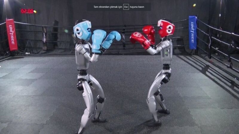 Çində insanabənzər robotların boks yarışı keçirildi