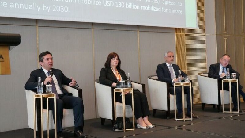 Azərbaycan XİN-nin müavini İstanbulda COP29-un nəticələrindən danışdı